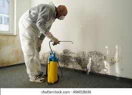 Professional Mold Removal in Richfield, MN